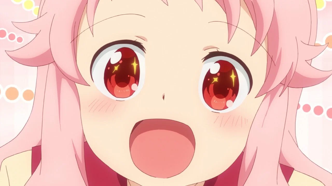 アニマエール！