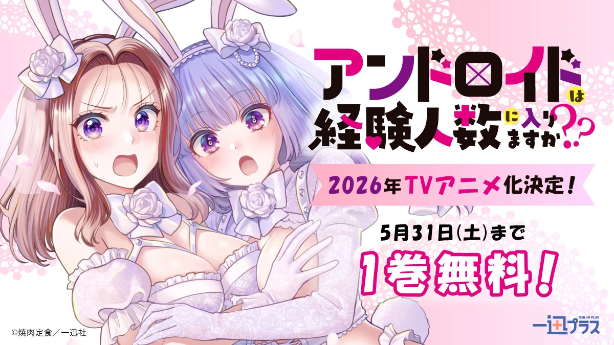 アンドロイドは経験人数に入りますか??